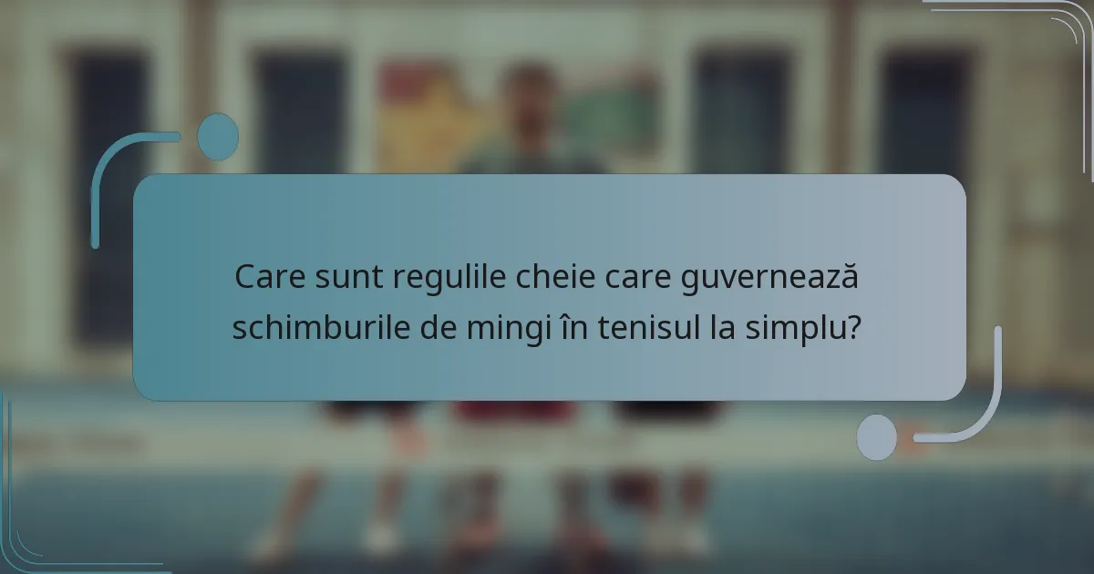 Care sunt regulile cheie care guvernează schimburile de mingi în tenisul la simplu?