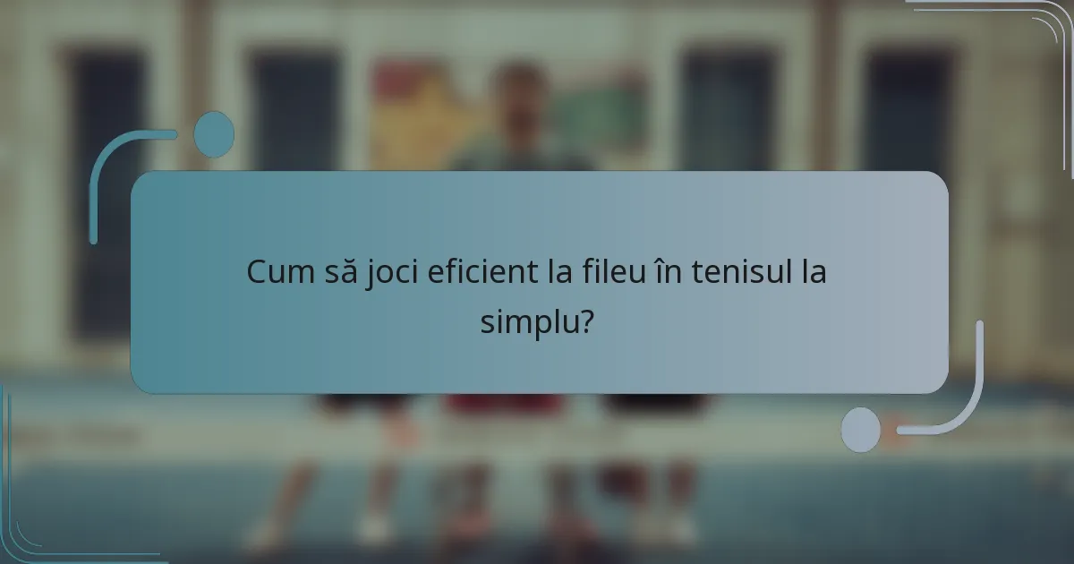 Cum să joci eficient la fileu în tenisul la simplu?
