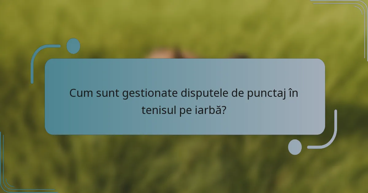 Cum sunt gestionate disputele de punctaj în tenisul pe iarbă?